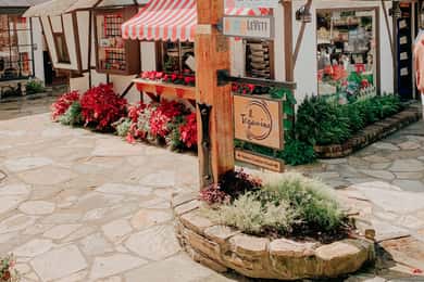 Wine Tasting and Walking Tour of Carmel-by-the-Sea