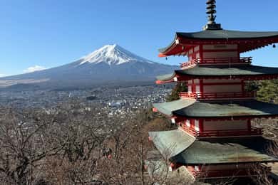 Vanuit Tokio: Privé-dagtour naar de berg Fuji met Engelssprekende chauffeur