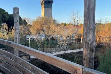 Visit Camargue and Espiguette Lighthouse from Montpellier