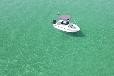 Private boat trip Diaporos or Ammouliani with electric van