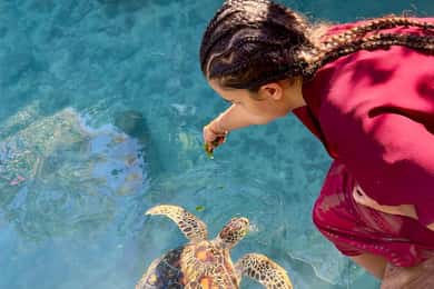 Sansibar: Schwimmen mit Meeresschildkröten in Kizimkazi & Tour zur Salaam-Höhle