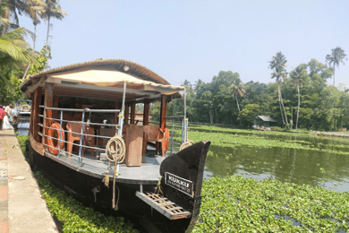 Aleppey- Houseboat backwater Day Tour with Lunch