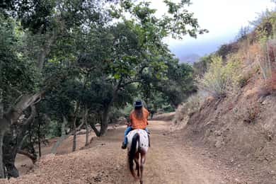 Santa Barbara: Horseback Riding and Wine Tasting Tour