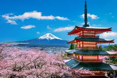 Vanuit Tokio: Privétour van een dag naar de berg Fuji, die je zelf kunt samenstellen