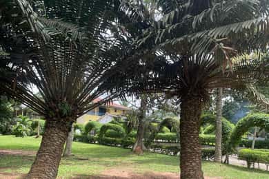 Ghana: 3 Days Sightseeing