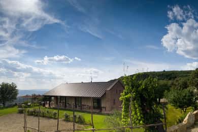 Arezzo : visite de vignobles locaux avec dégustation de vin