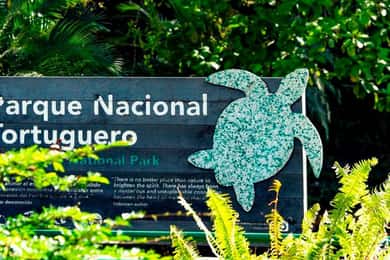 Tortuguero National Park: Das Beste, was man in Tortuguero tun kann