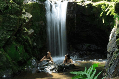 Nadi Orchid Garden, Waterfall Trek with Hotspring & Mudpool