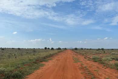 From Watamu: 2-Day Safari in Tsavo East National Park