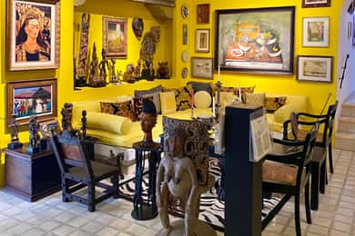 Visite guidée du Museo Robert Brady