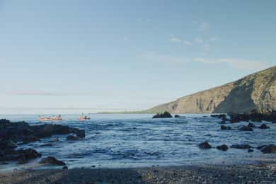 Kealakekua Bay: Guided Kayak & Snorkel Adventure