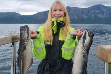 Bodø: Fishing Trip with Guide and Equipment