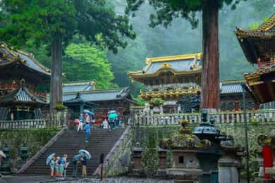 Da Tokyo: tour privato di un giorno del patrimonio mondiale di Nikko