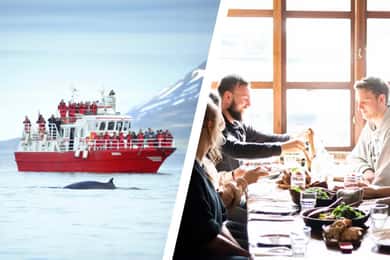 Akureyri: wycieczka kulinarna i obserwacja wielorybów