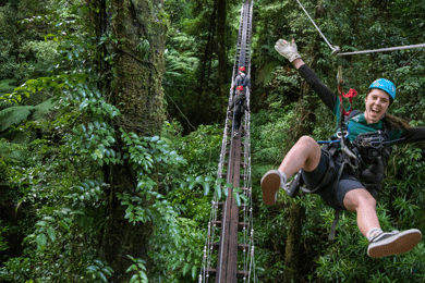 Rotorua: 6 ziplines, swing-bridges & wildlife encounters