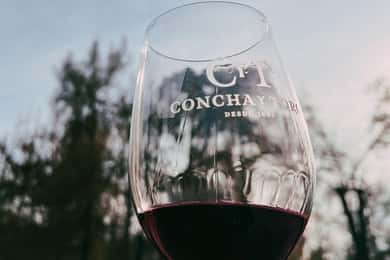 Santiago: Concha y Toro com transfer, degustação e copo de oferta