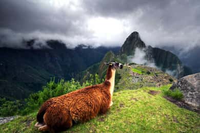 Official Ticket to Machu Picchu and Sacred Valley 2 days