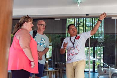 Eco-safari a Khao Lak: Elefanti, museo dello tsunami e tartarughe