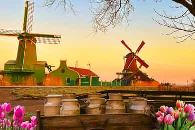 Amsterdam: Giethoorn og Zaanse Schans - dagstur for små grupper