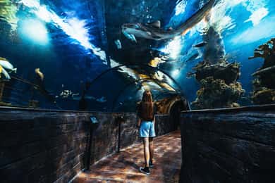 Malta National Aquarium Entry Ticket