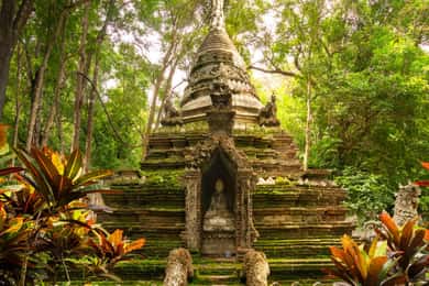 Chiang Mai: Doi Suthep Temple & Sticky Waterfall Trip