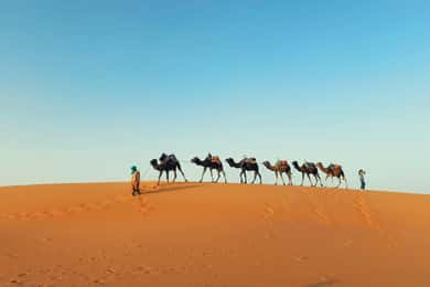 Desde Marrakech: 3 días en el desierto de Merzouga, quad, camello y cena.