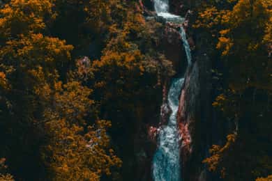 Mussoorie: Kempty Falls, Gun Hill, and Lal Tibba Day Tour