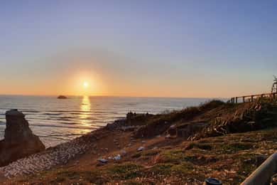 Auckland: Sunset Tour with Thermal pool & Wine Tasting