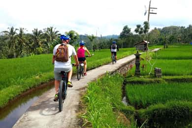 Ubud: Półdniowa elektryczna wycieczka rowerowa do Tegallalang