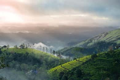 Passeggiata nella natura di Munnar, tour di un giorno alle colline di Letchmi