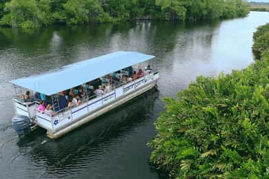 Jamaica: Tour guiado pelo Black River Safari e tour pelas Cataratas YS