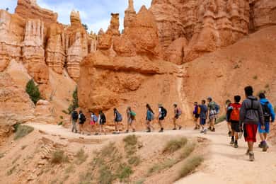 Las Vegas: Bryce and Zion National Parks Tour with Lunch