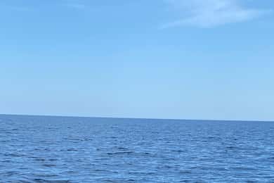 Olbia: Bådtur for at se delfiner og snorkling