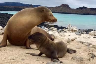 Excursão de 10 dias a Machu Picchu e Ilhas Galápagos