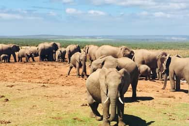 Cape Town: 7-Day Small Group Experience of the Garden Route
