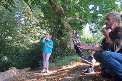 A Tour of Glastonbury - Guided by the Trees
