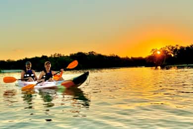 Holbox: Zonsopgang & Mangrove kajaktocht