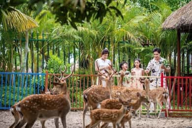 Découvrez le parc d'attractions VinWonders Nam Hoi An et le safari