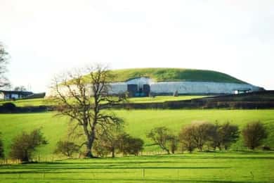 From Dublin: Newgrange, Trim Castle and Hill of Tara