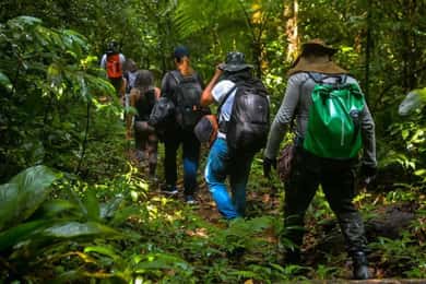 Santos: Waterfall Hike and Boat Ride at the Rain Forest