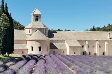 Von Marseille aus: Anpassbare private Tour durch die Provence