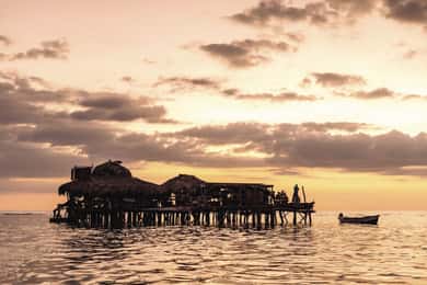FD compartilhado ou privado Appleton Rum, YS Falls e Pelican Bar