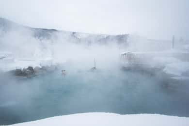 Full Day Ice Museum and Chena Hot Springs Tour