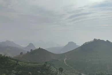 Tour della piantagione di tè Qixianfeng a Yangshuo