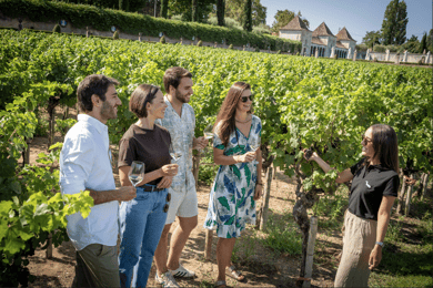 Winery Visit & Fish Market Tour with Tasting from Lisbon