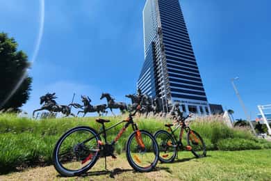 Guadalajara: Alquiler de bicicleta por día.