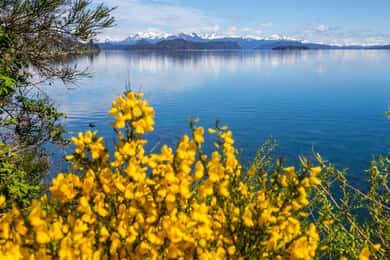Bariloche in full