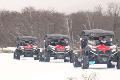 Ushuaia: Aventura na neve com jantar e transporte