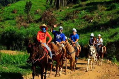 Puerto Vallarta: Horseback Riding Adventure at Canopy River