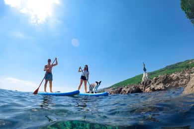 Opatija: Goedemorgen SUP avontuur